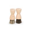 Application Brush (2 pcs) Online