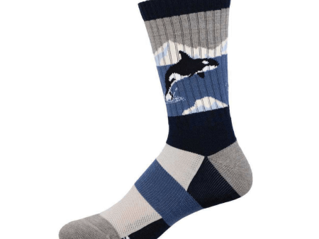 Arctic Orca | Wool | Men | Blue Gray Online Hot Sale