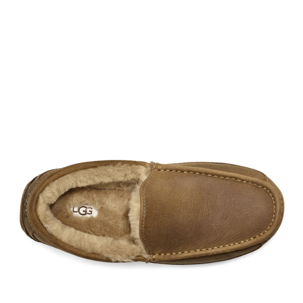 Ascot | Men | Suede | Tan Sale