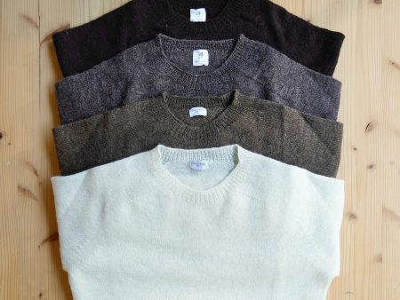 1PLY SHETLAND SWEATER CREW Sale